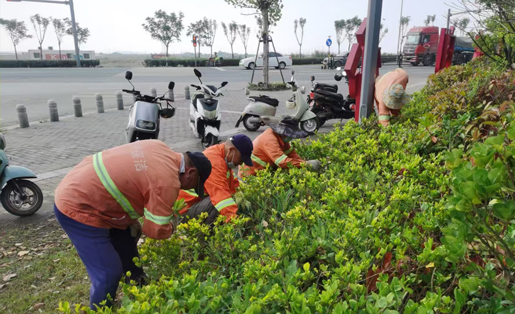 cffd0c782f7afd6c3914f55f0f101b4d